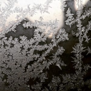 Frost - Foto Katalin von Halem