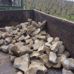 Steine auflesen im Weinberg - Wein von 3